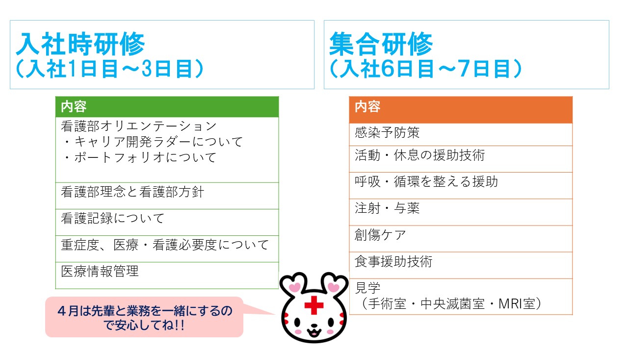 入社が決まったら、入社研修として入社日から３日間、看護部オリエンテーションを受けてもらいます。
内容は、
キャリア開発ラダーについて。
ポートフォリオについて。
看護部理念と看護部方針。
看護記録について。
重症度、医療・看護必要度について。
医療情報管理について学びます。
入社６日目から２日間は、
感染予防策。
活動・休息の援助技術。
呼吸・循環を整える援助。
注射・与薬。
創傷ケア。
食事援助技術。
手術室・中央滅菌室・MRI室の見学となっています。
４月は先輩と業務を一緒にするので安心してね!!
