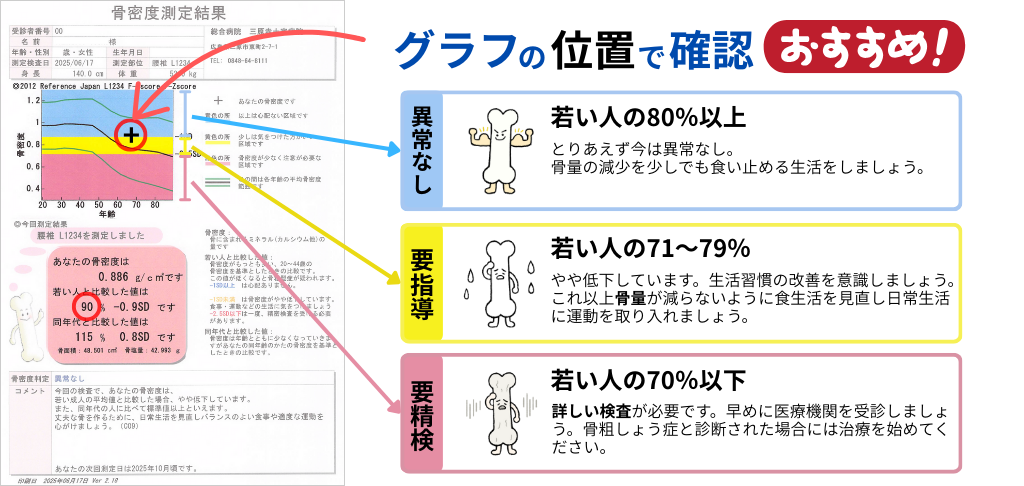 骨密度測定結果の見方